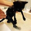 7. Adorabile anche da bagnato