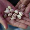 4. Aprire i pistacchi salvando le unghie