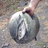 9. Il casco? Il tuo migliore amico
