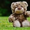 1. Gli animali di peluche
