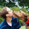 8. Giurano di amare cani e gatti