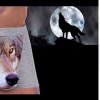 1. Un cane nelle mutande