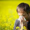 5. Allergie