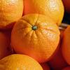 3. Arance 