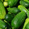 6. Cetrioli 