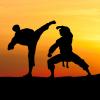 4. Maestro di kung-fu 