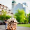 6. La Sindrome Generale di Adattamento