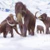 2. Perché i grandi animali del passato si sono estinti?