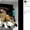 5. Le “torture” al leone della MGM 