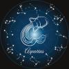 4. Acquario