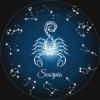 11. Scorpione