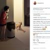 2. Giocare con il proprio cane