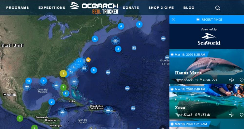Ocearch
