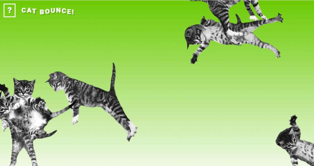 Cat Bounce