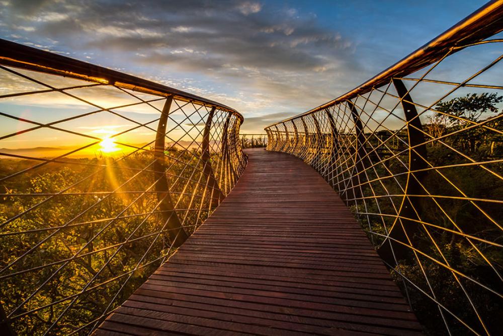 Canopy Walkway 