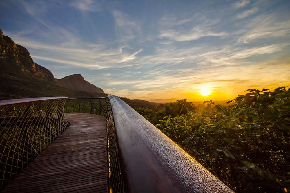 Canopy Walkway 