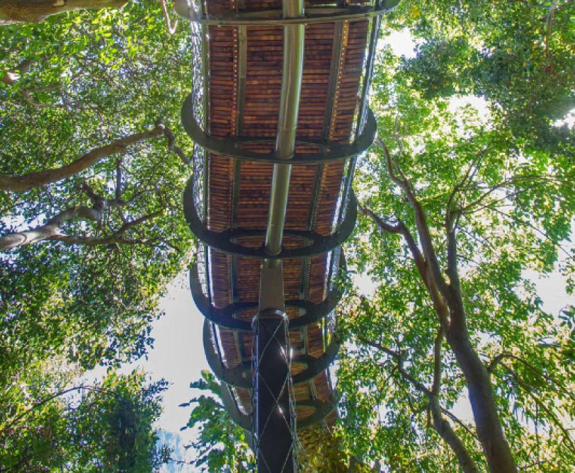 Canopy Walkway 