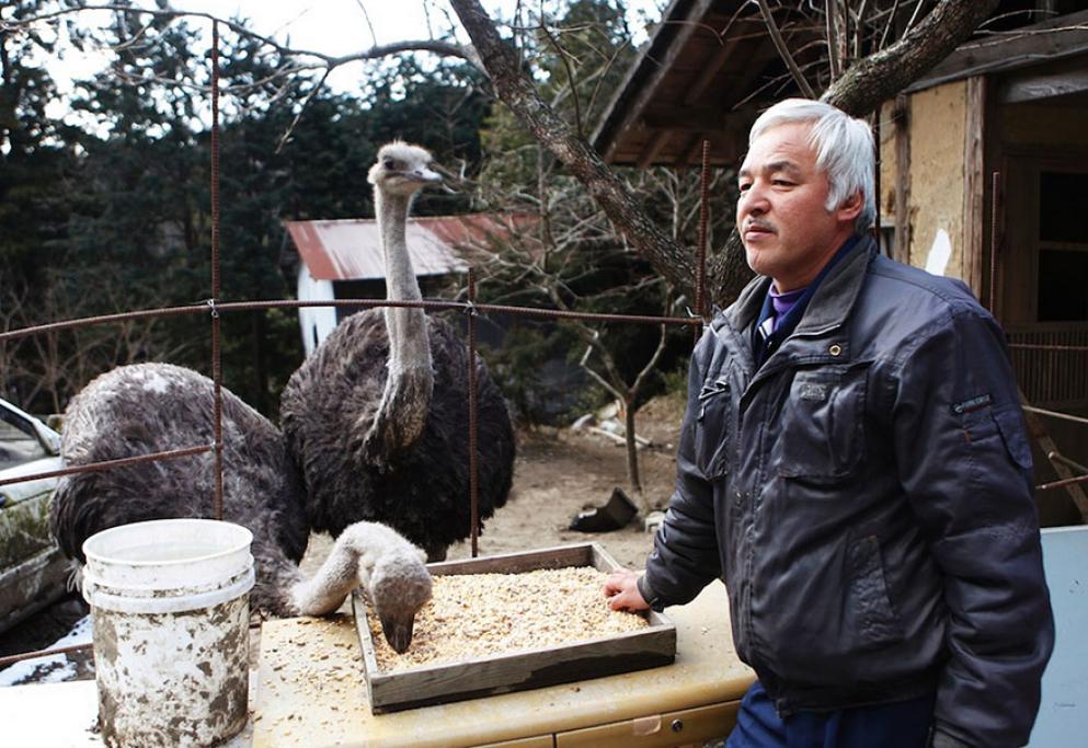 Naoto Matsumura 