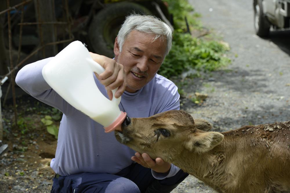 Naoto Matsumura 