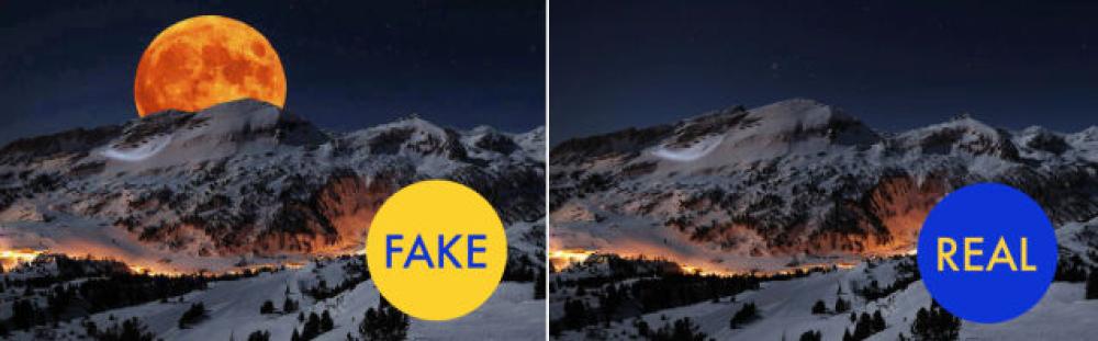 20 foto virali che non sono reali