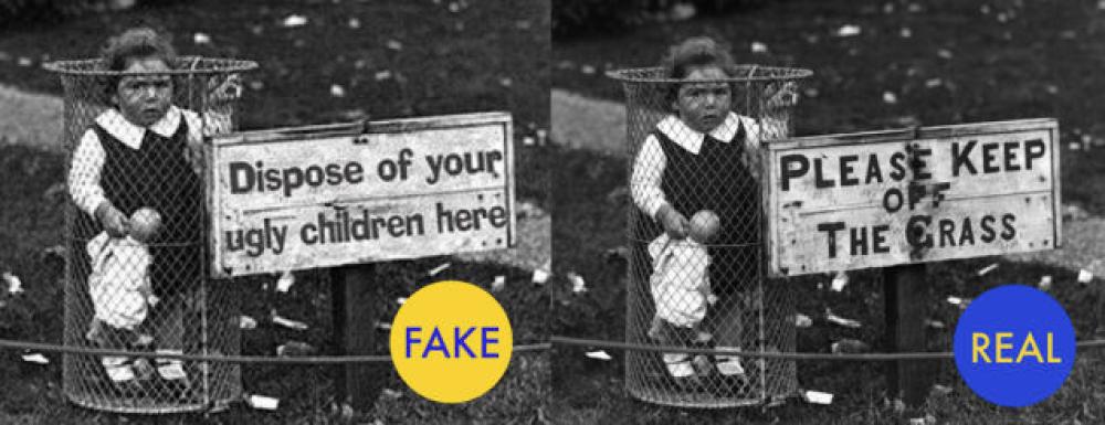 20 foto virali che non sono reali