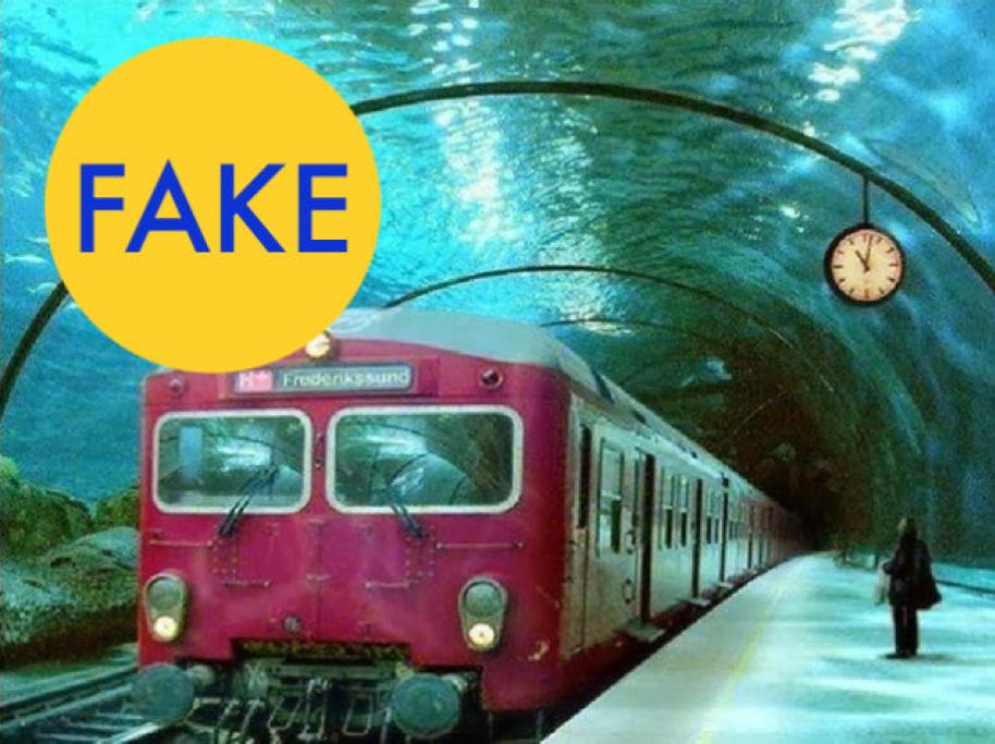 20 foto virali che non sono reali