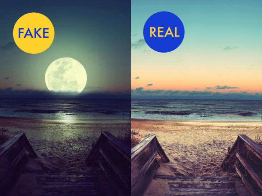 20 foto virali che non sono reali
