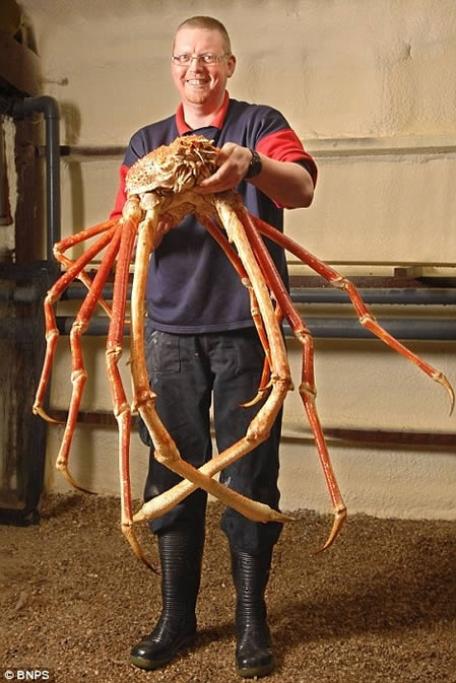 World's largest