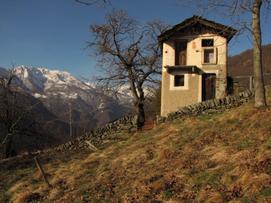 Casa del Violino
