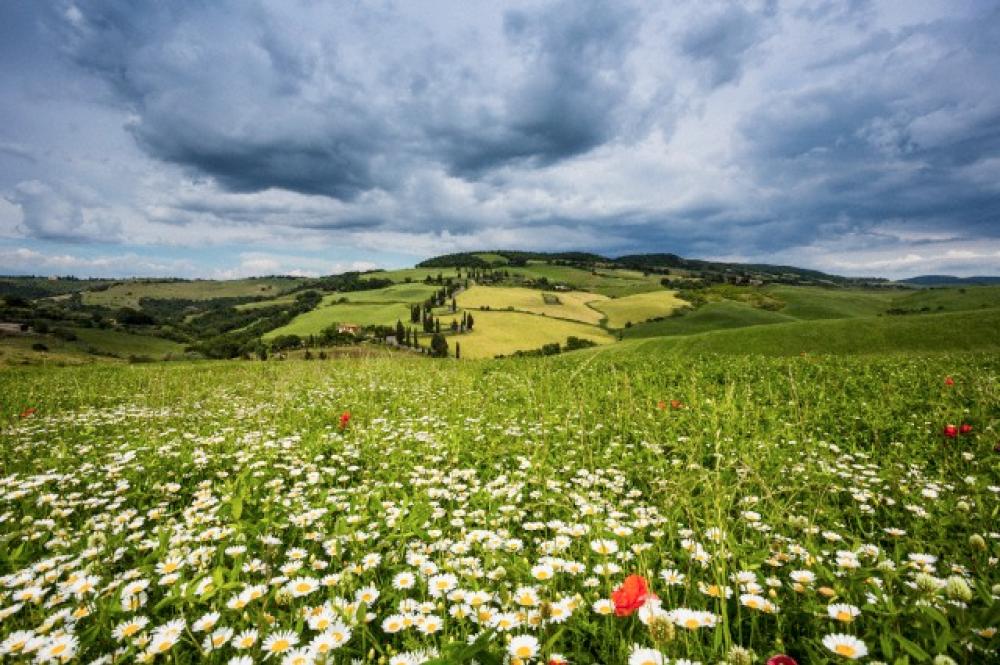 La natura: che meraviglia!