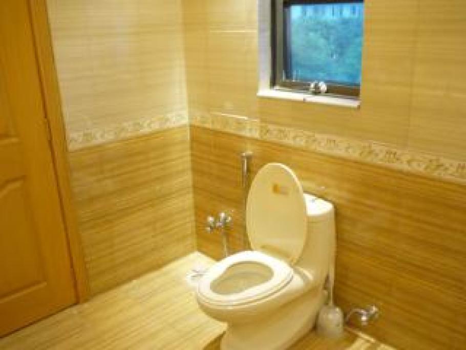 Internet via wc