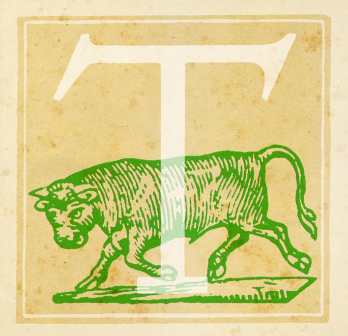 Toro
