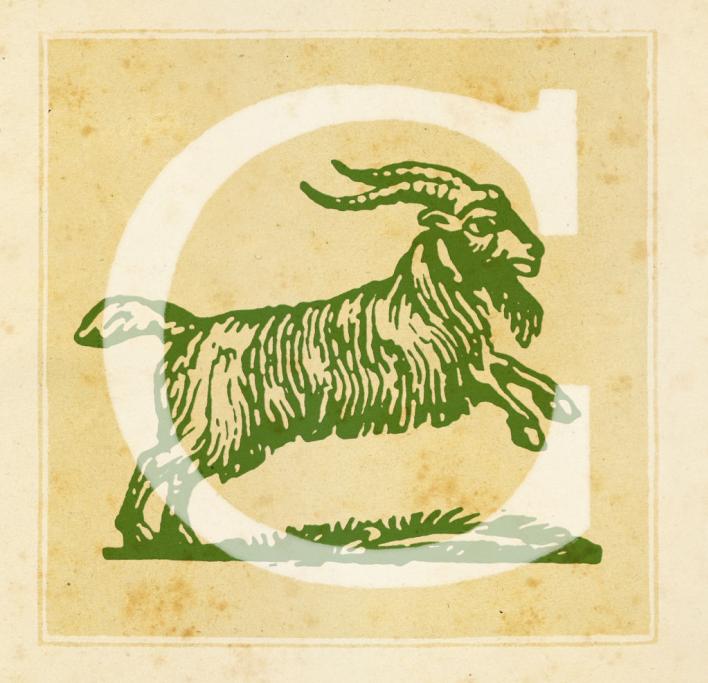 Capricorno