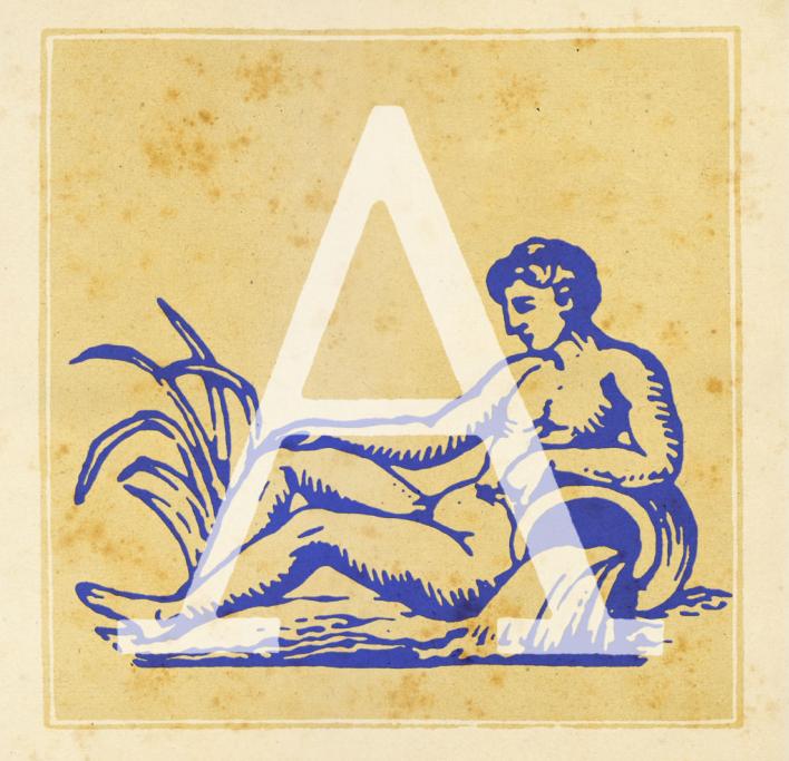 Acquario