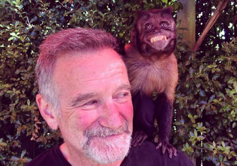 Robin Williams, 1951 - 2014