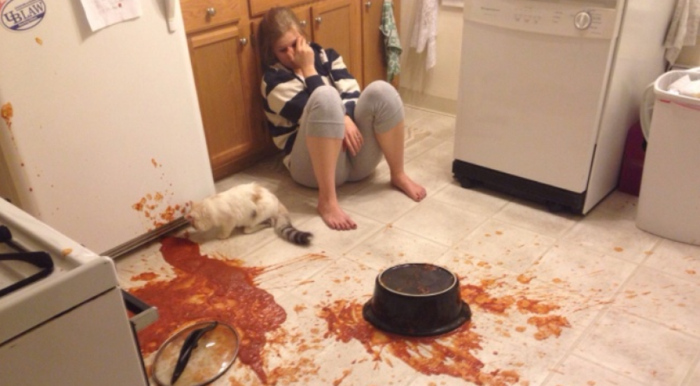 I gatti a volte sono ingiusti
