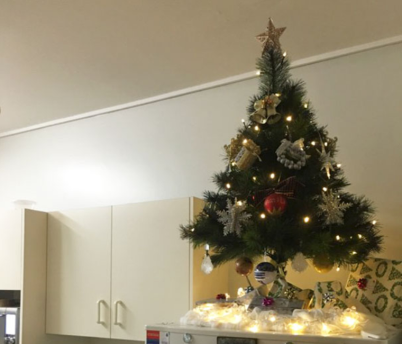 Un piccolo albero sopra al mobile sta al sicuro?