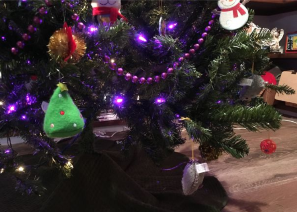 Albero decorato con i giochi del gatto!