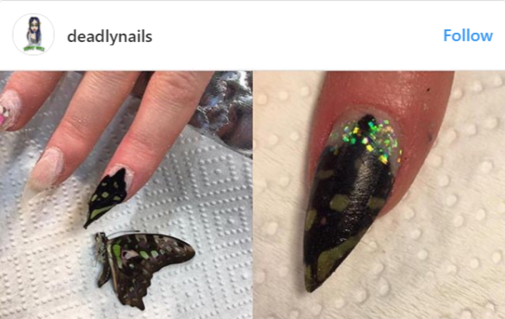 Madame Butterfly