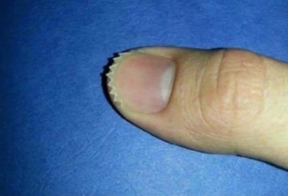 Nella vita bisogna affilare gli artigli