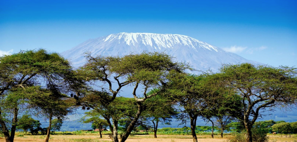 2) Tanzania