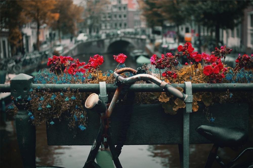 Acquario – Amsterdam
