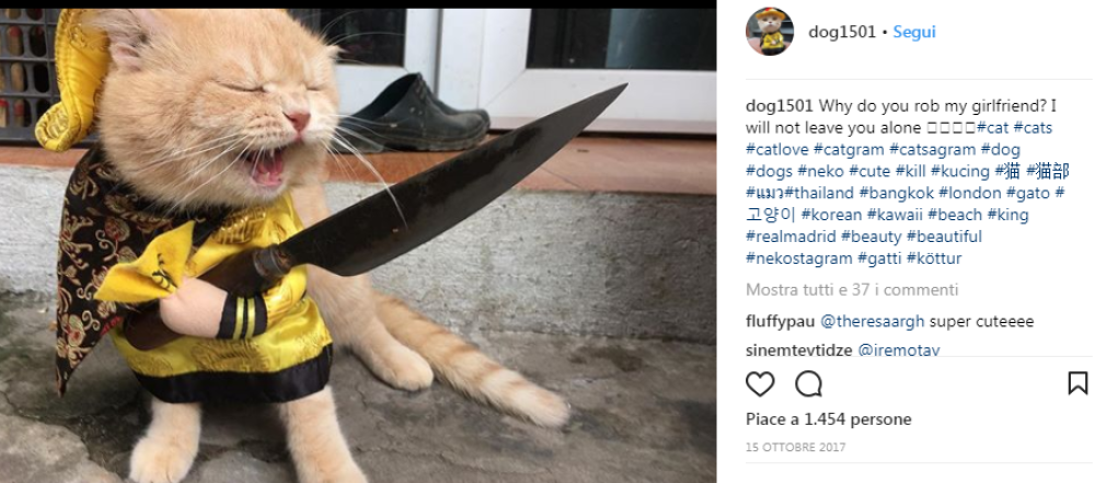Non è adorabile?