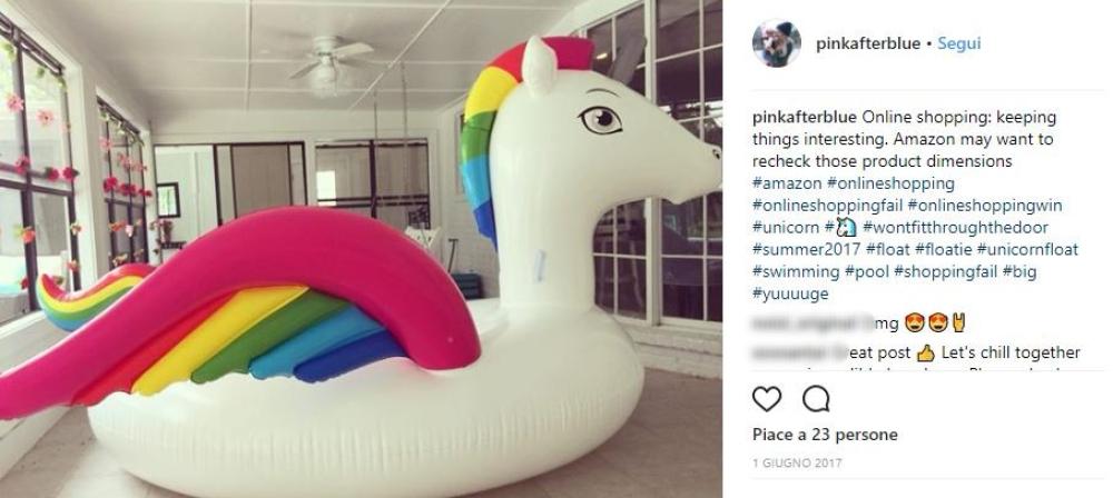 Unicorno da esterni 