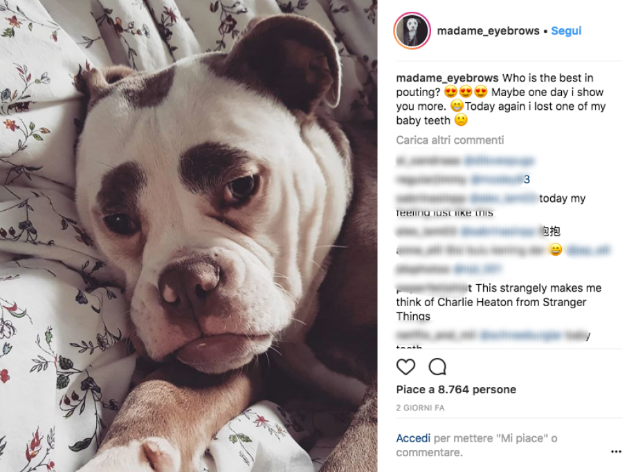 Tipica faccia da lunedì mattina