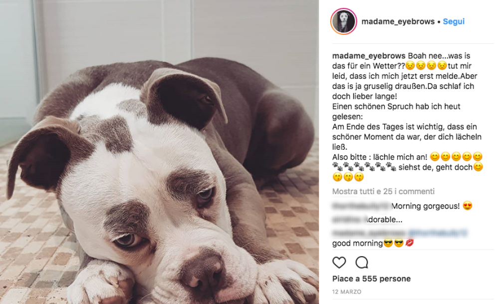 Non provate a disturbarla di prima mattina