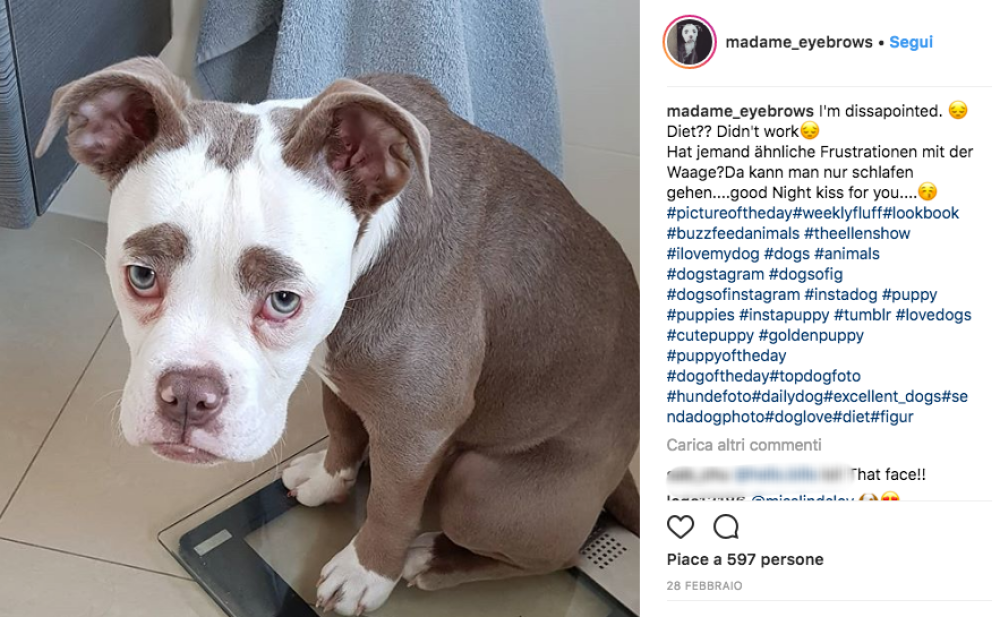 Qualcuno ha detto dieta?