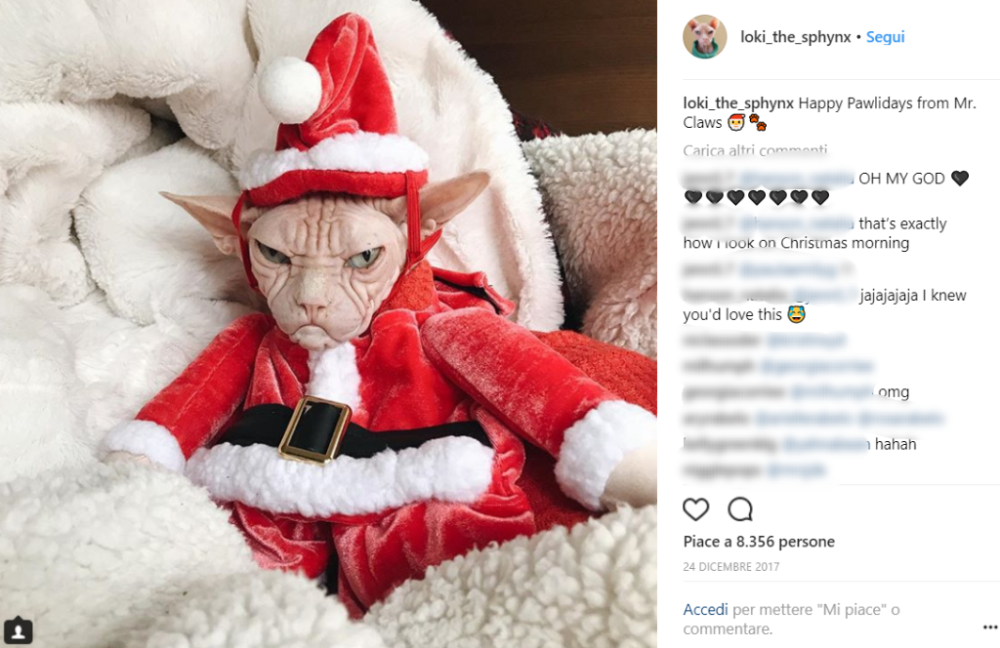 E cosa dire del travestimento da Babbo Natale?
