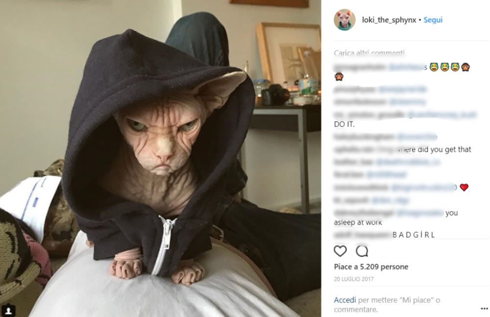 Veniamo al travestimento da rapper/incappucciato di Star Wars