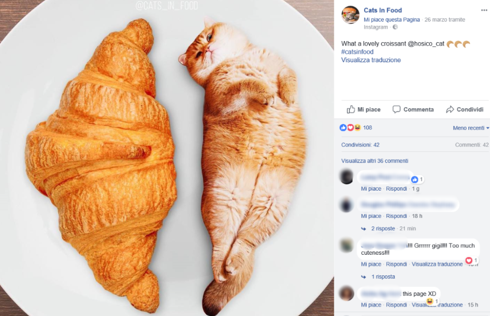 La pagina Facebook “Cats In Food” ha creato dei veri e propri capolavori